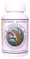 Modifilan