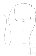 []