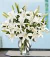 It's Always The Right Time For Flowers