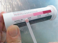 Compare Strip Color