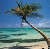 A relaxing beach aids depression and anxiety