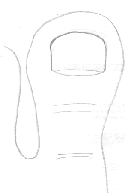 []